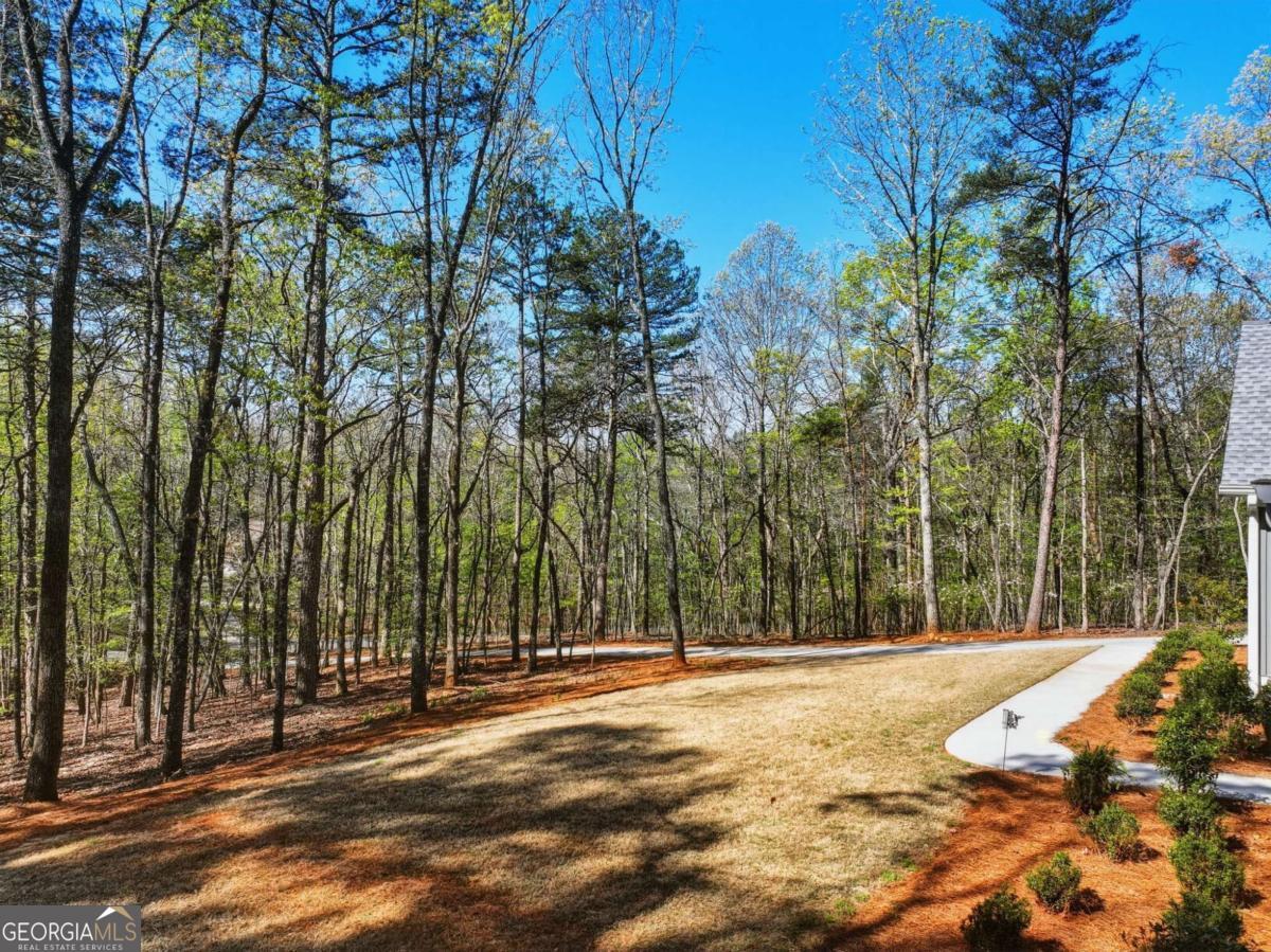 320 Fern Park Drive Property Photo 20
