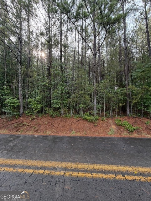 Ervin Coker Rd. Ervin Coker Road Property Photo 1