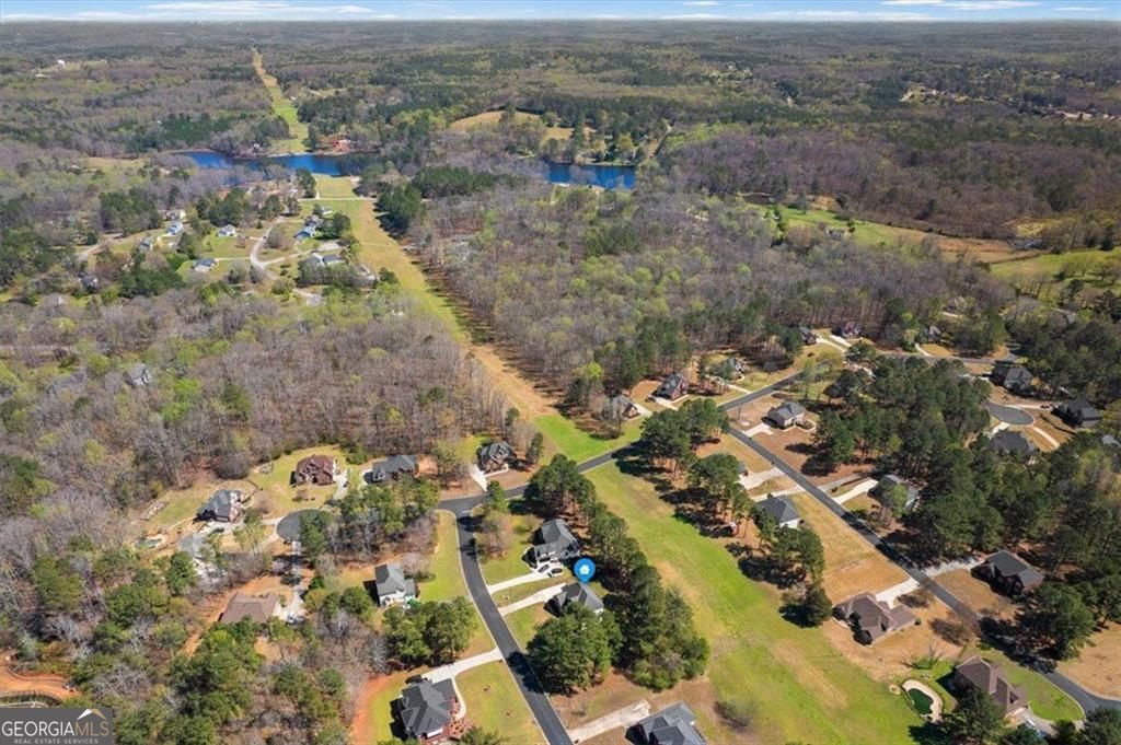 405 Branch Forest Way Property Photo 66
