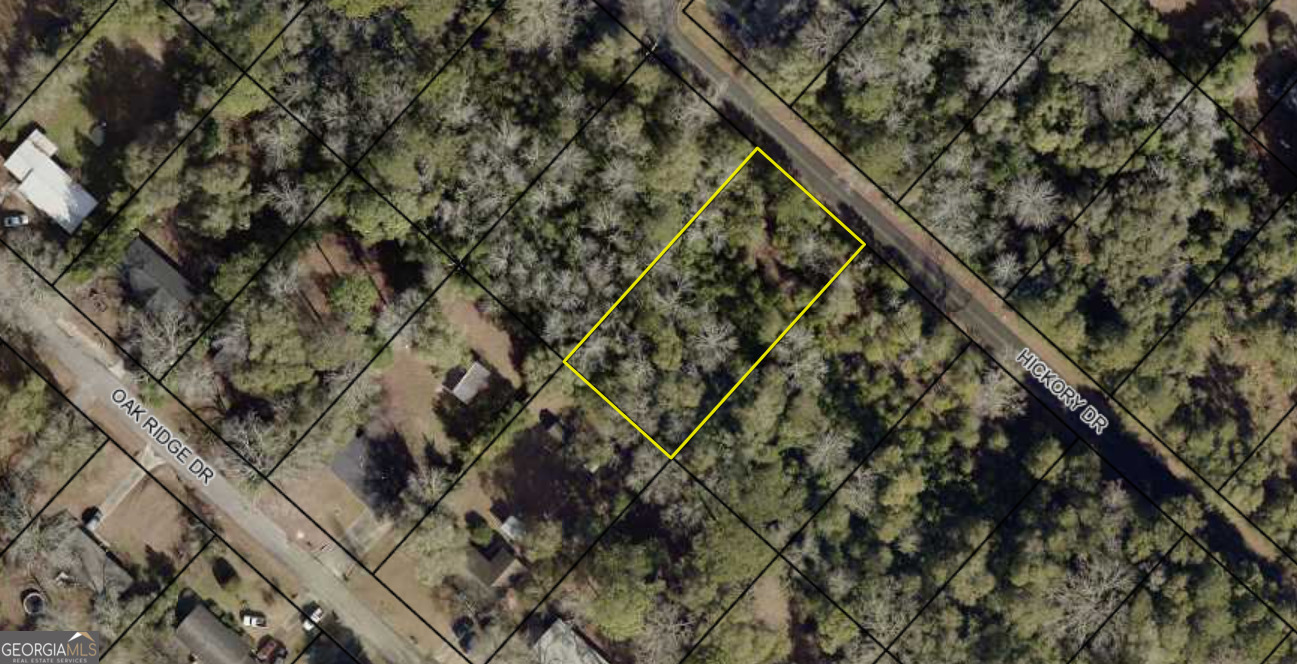 203 Hickory Drive Property Photo 8