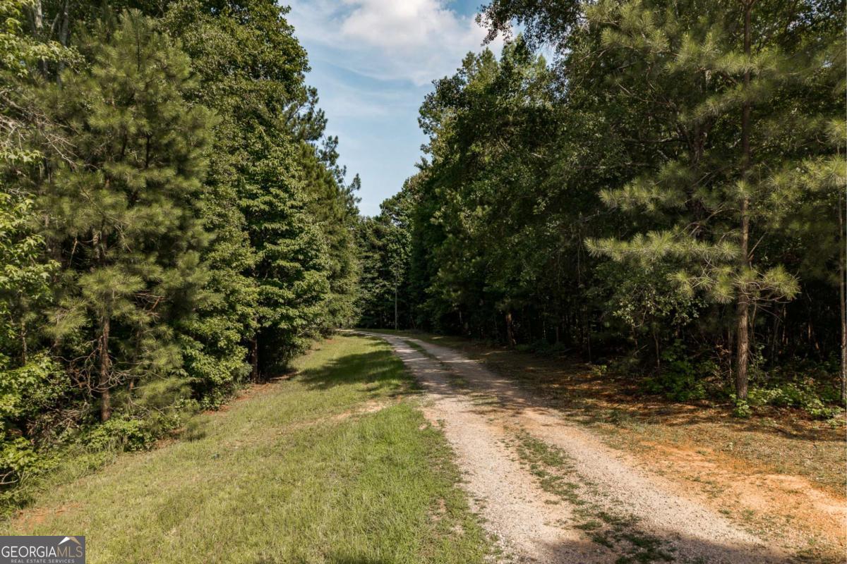 930 James Holcomb Road Property Photo 56