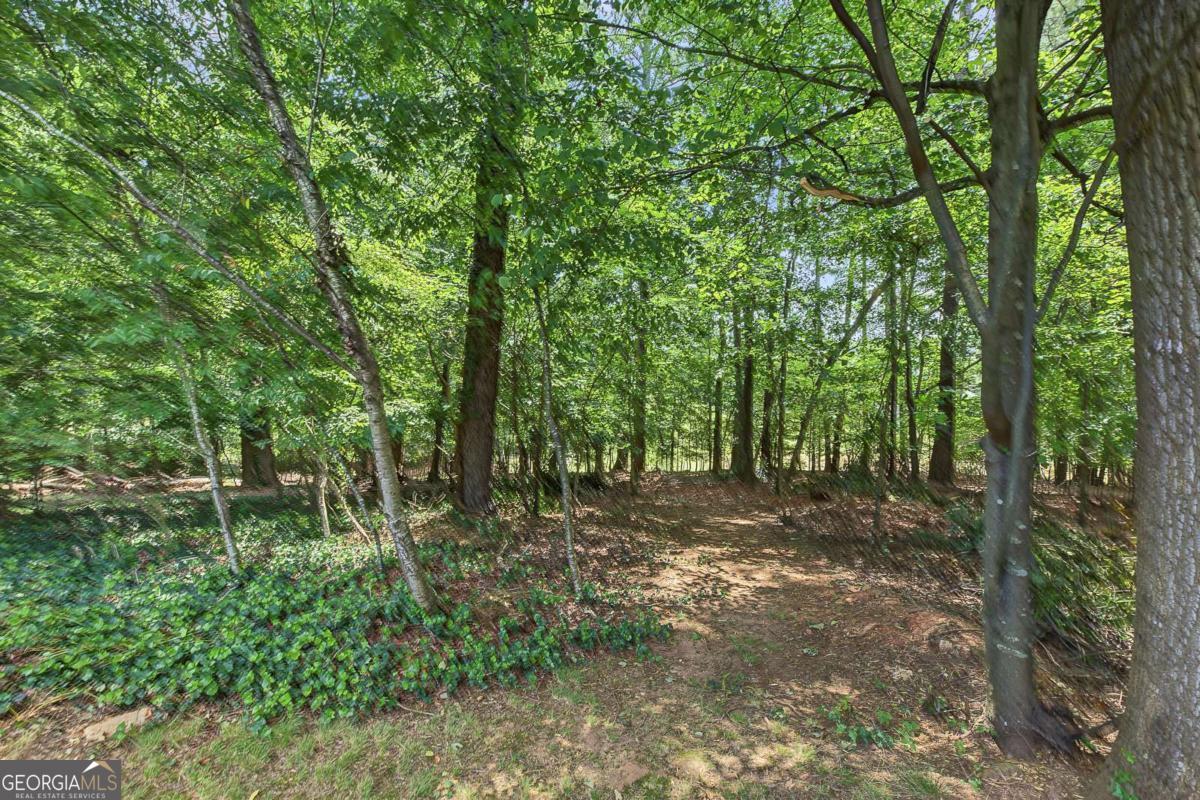 154 W Putnam Ferry Road Property Photo 39