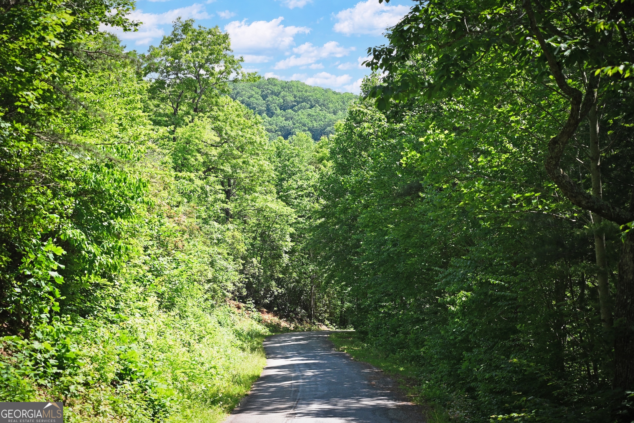 Lot 3 The Ridges Property Photo 6