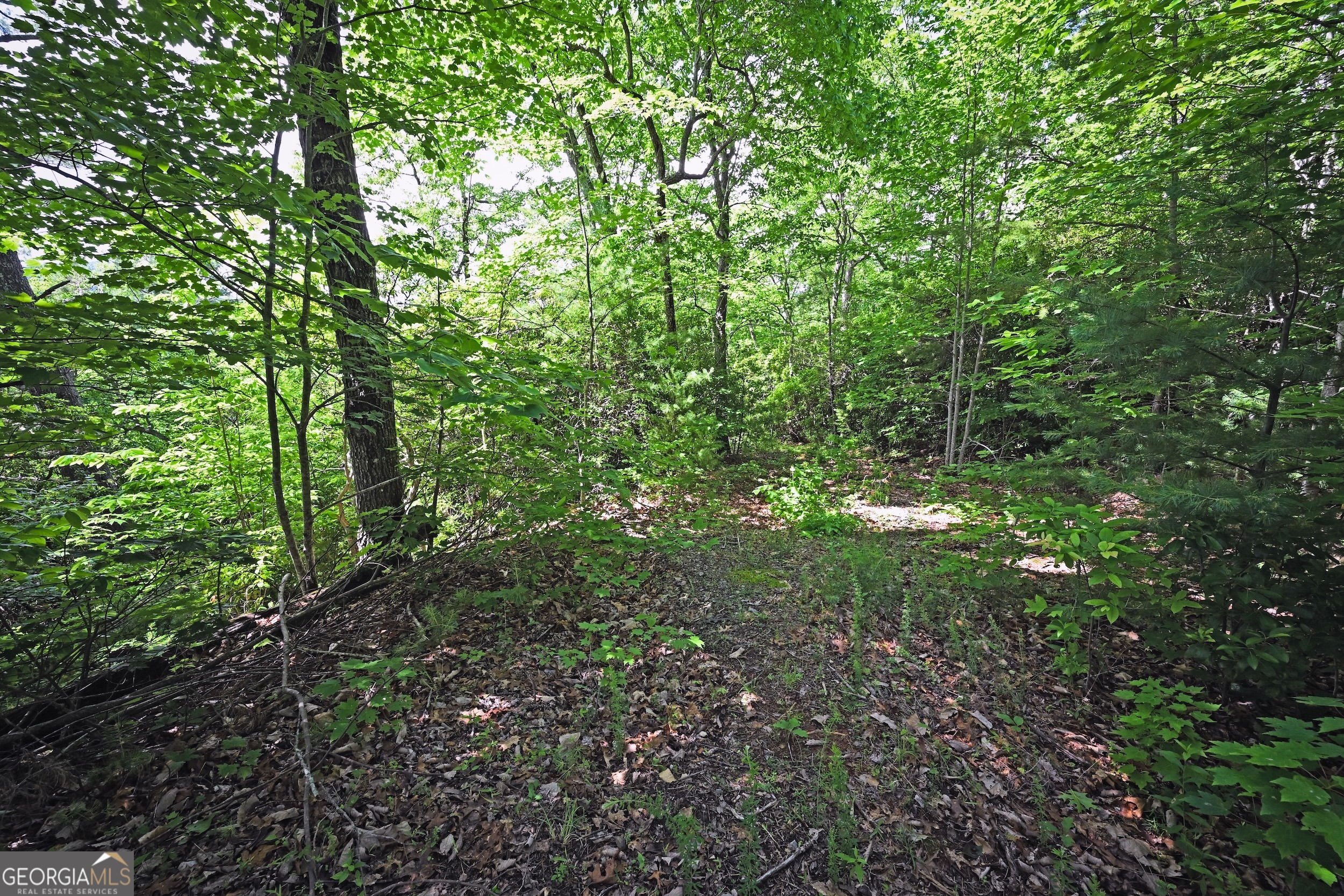 Lot 3 The Ridges Property Photo 8
