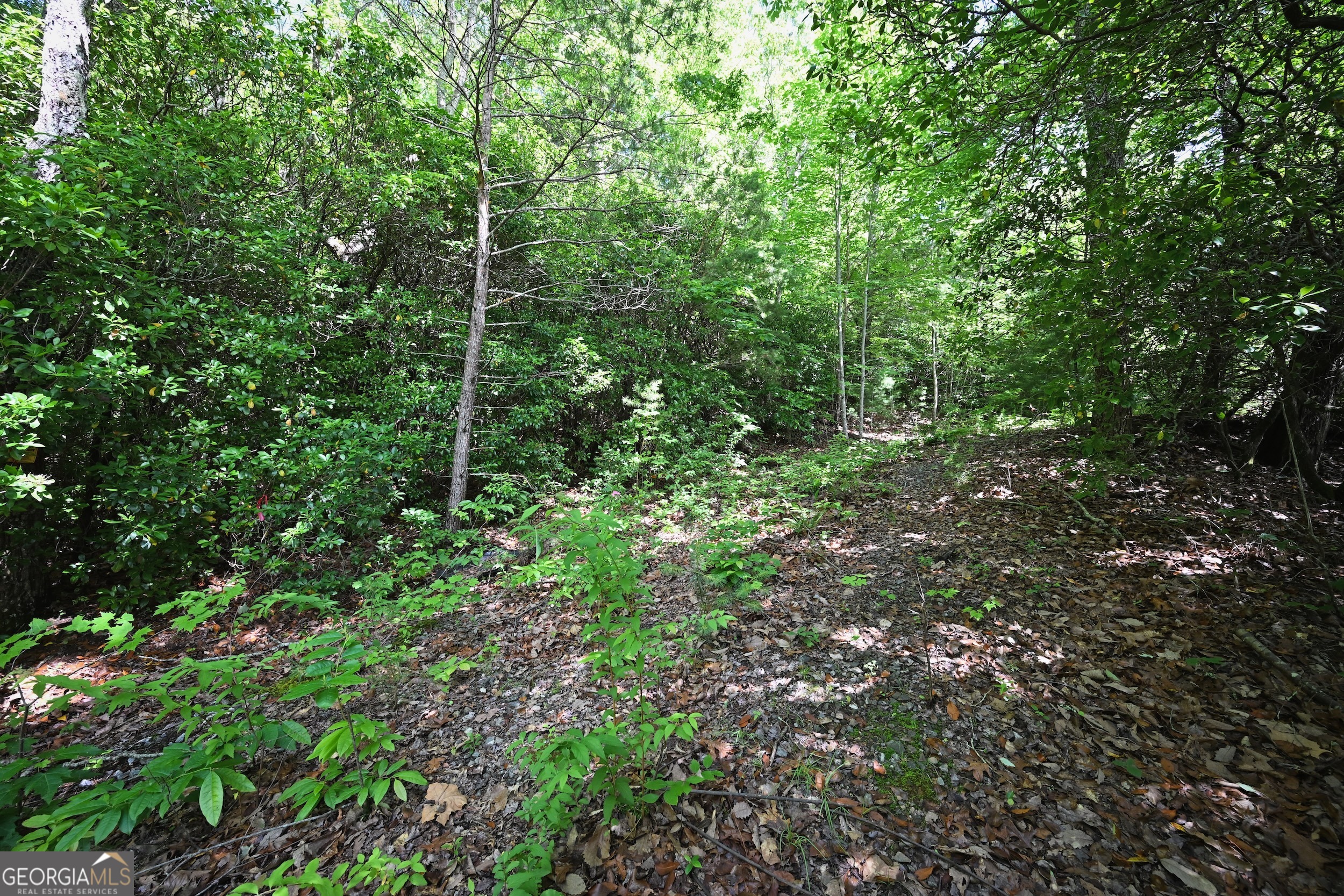 Lot 3 The Ridges Property Photo 10