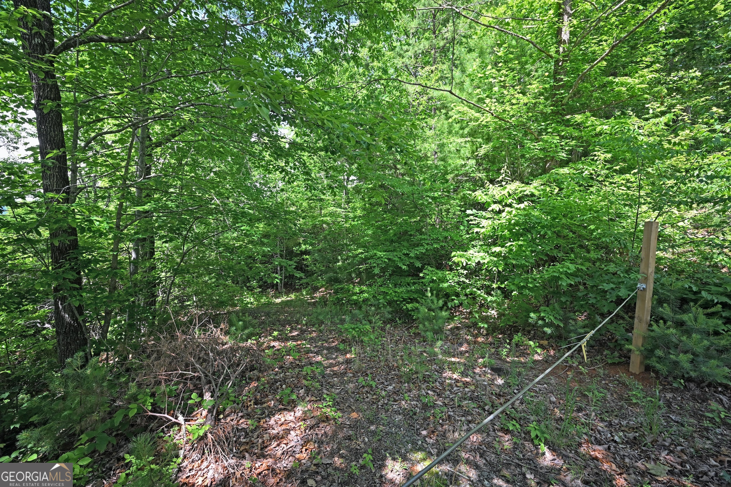 Lot 3 The Ridges Property Photo 11