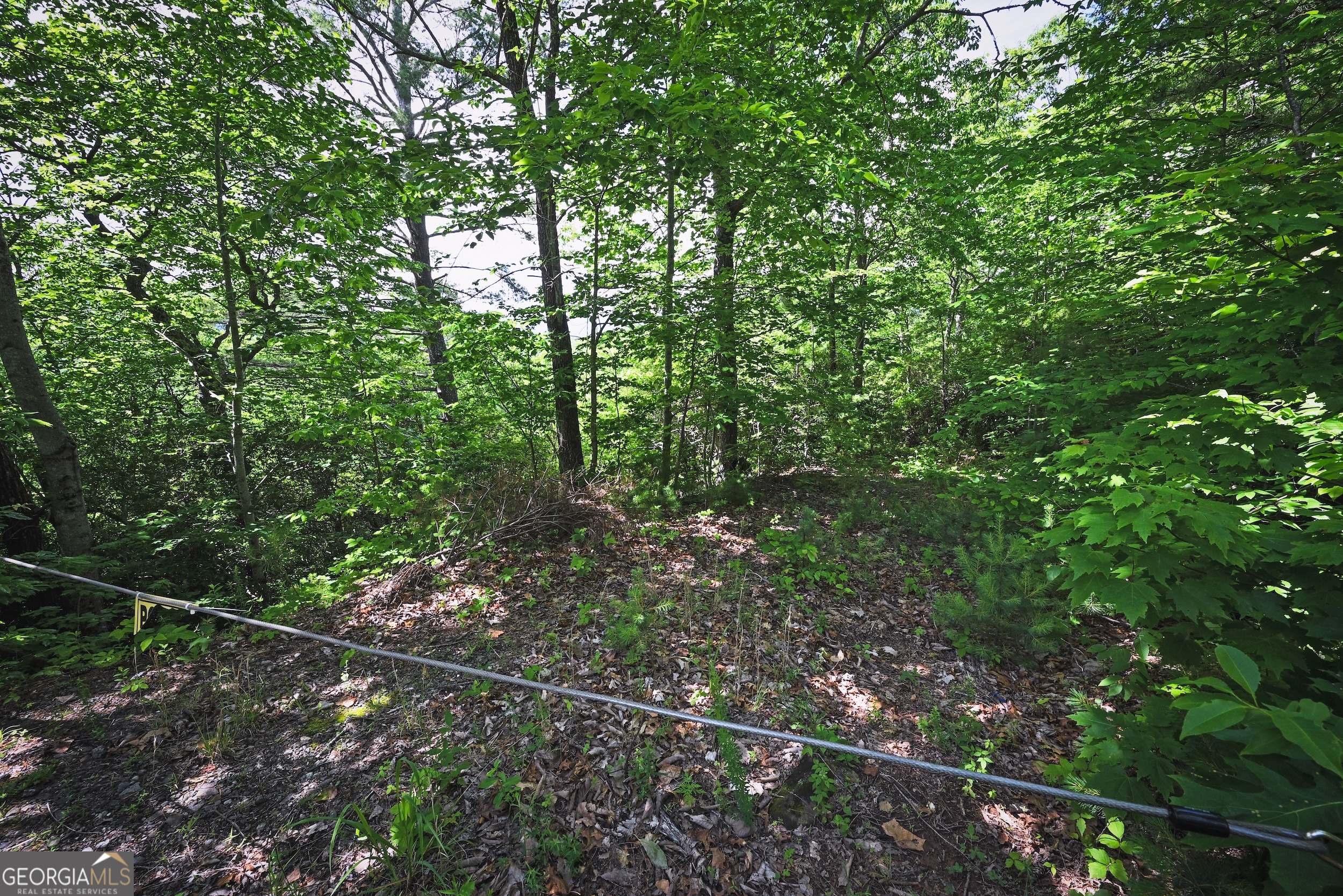 Lot 3 The Ridges Property Photo 13
