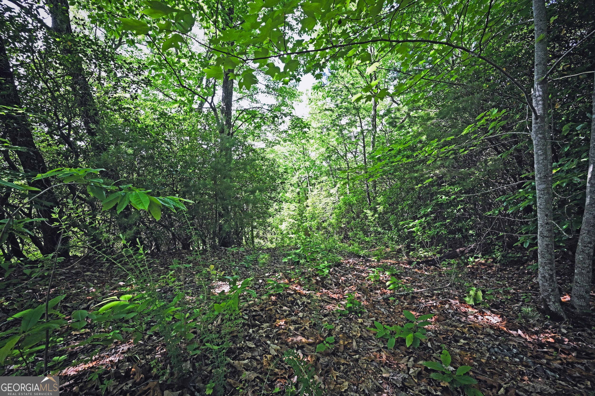 Lot 3 The Ridges Property Photo 14