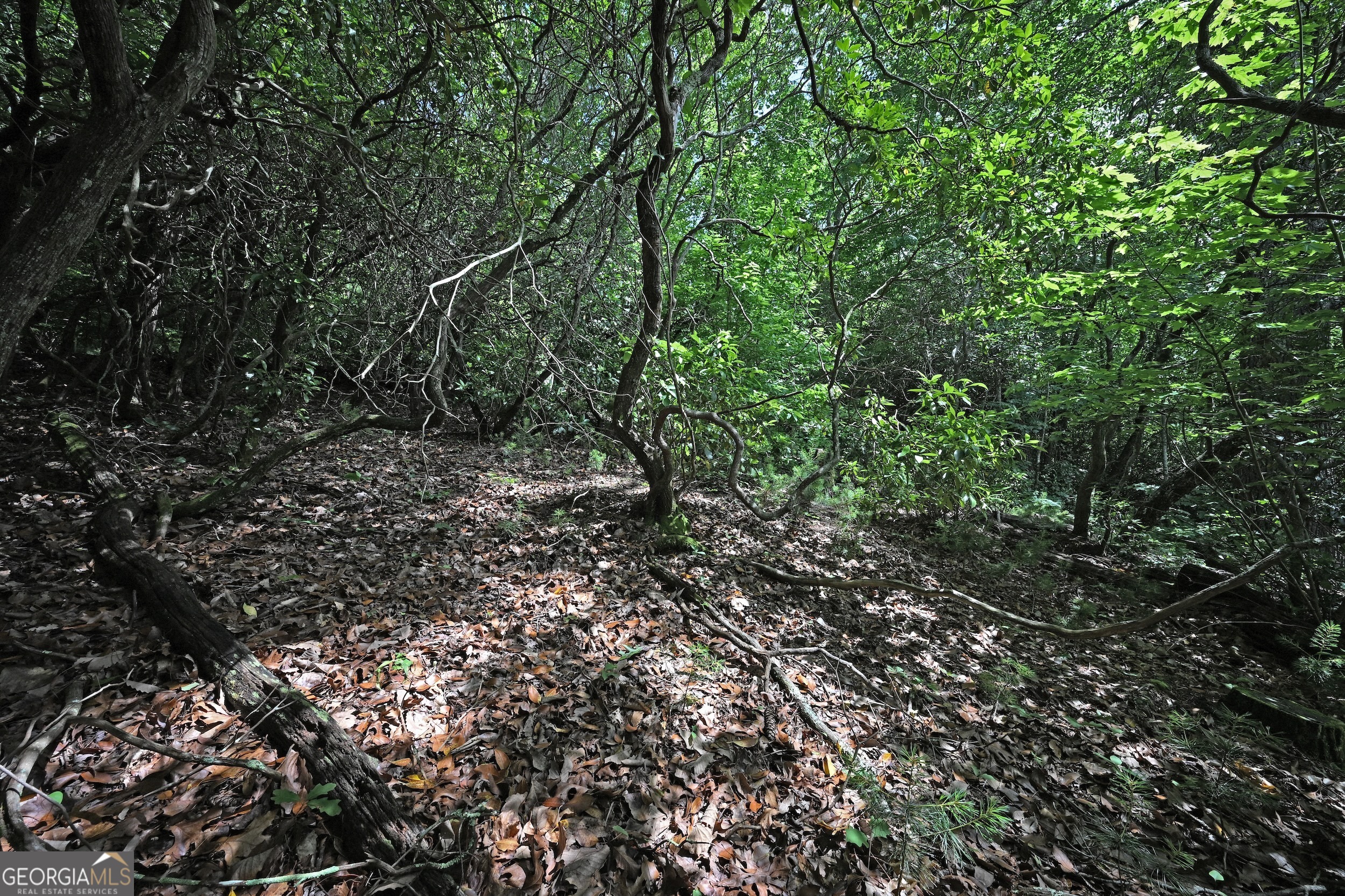 Lot 3 The Ridges Property Photo 15