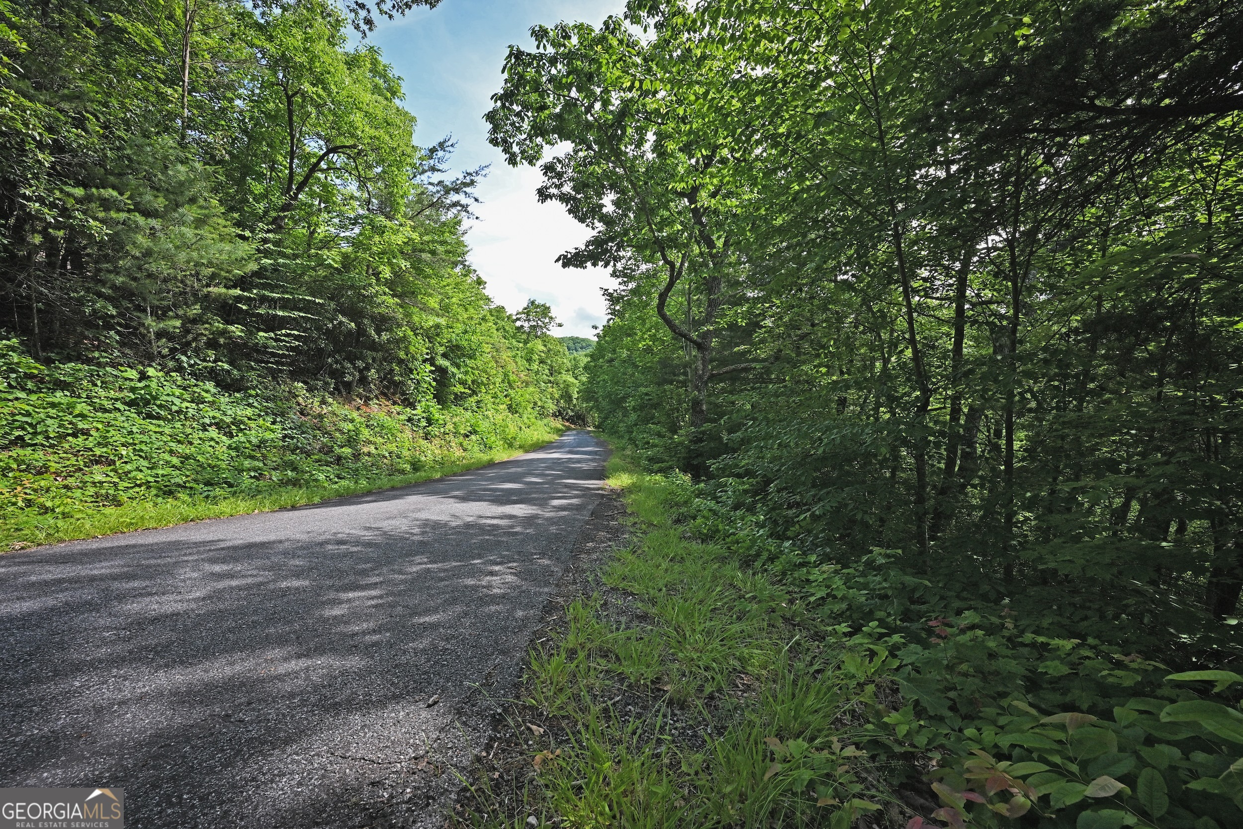 Lot 3 The Ridges Property Photo 16