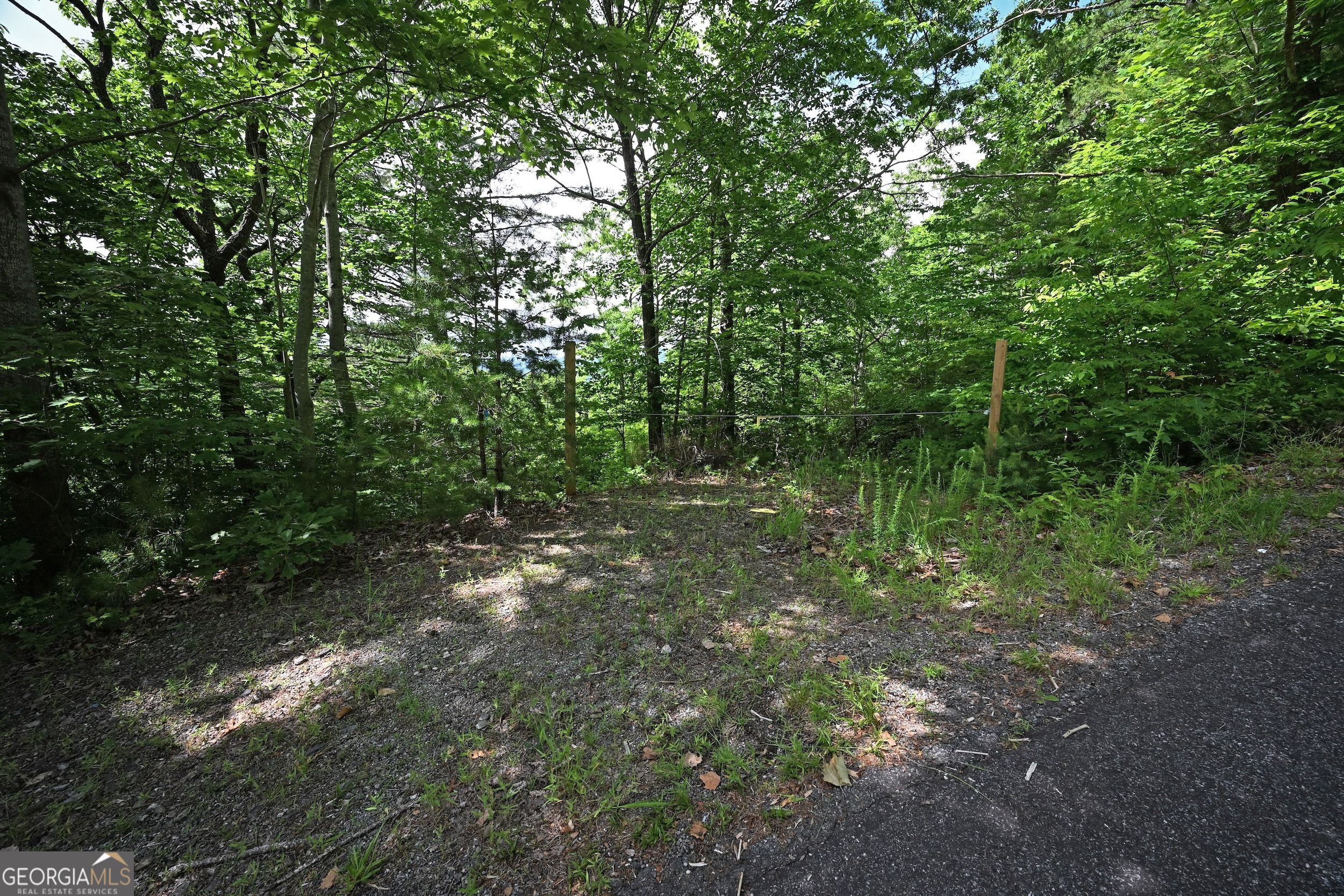 Lot 3 The Ridges Property Photo 18