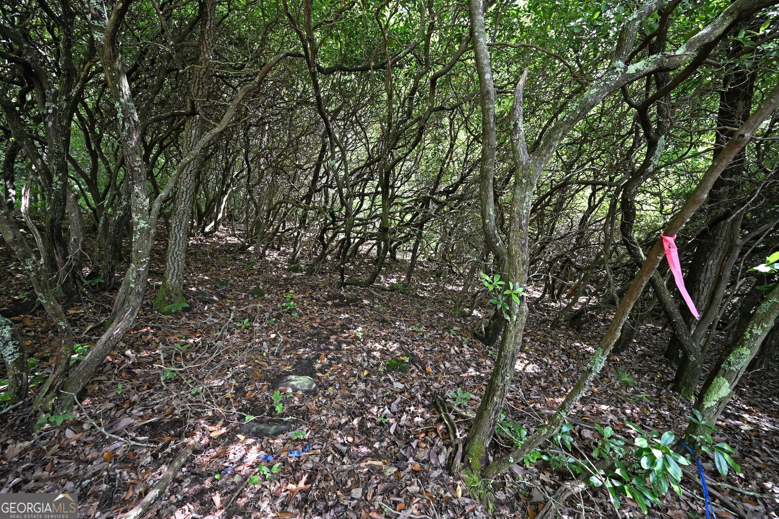 Lot 3 The Ridges Property Photo 19