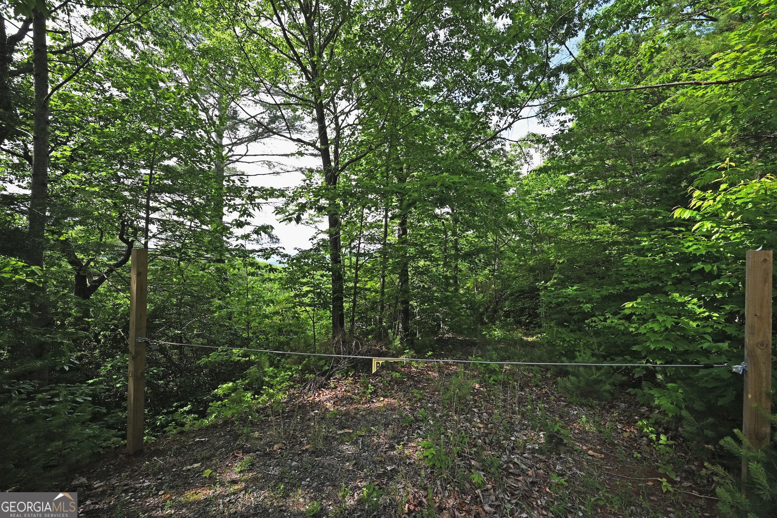 Lot 3 The Ridges Property Photo 20