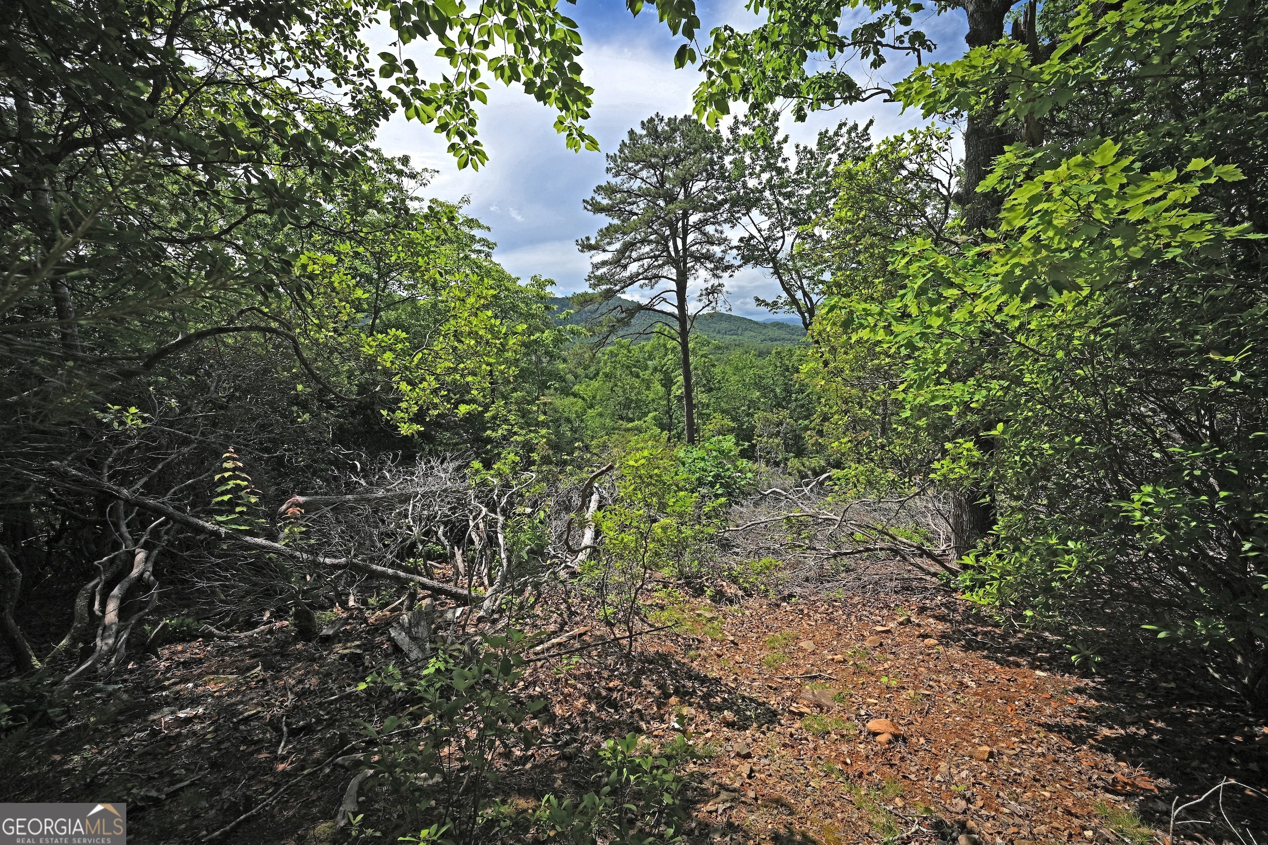 Lot 3 The Ridges Property Photo 21