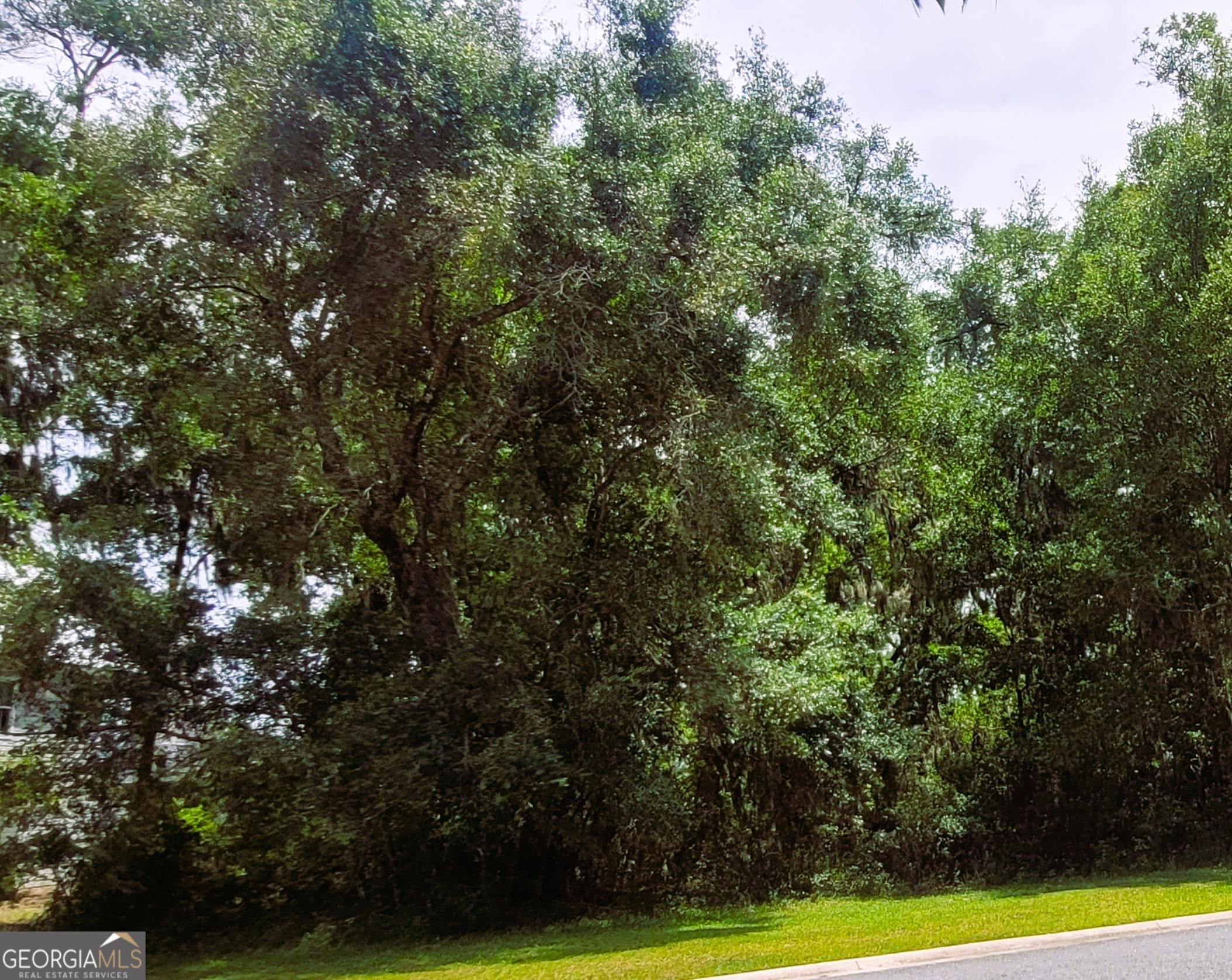 103 Carousers Cove Property Photo 4