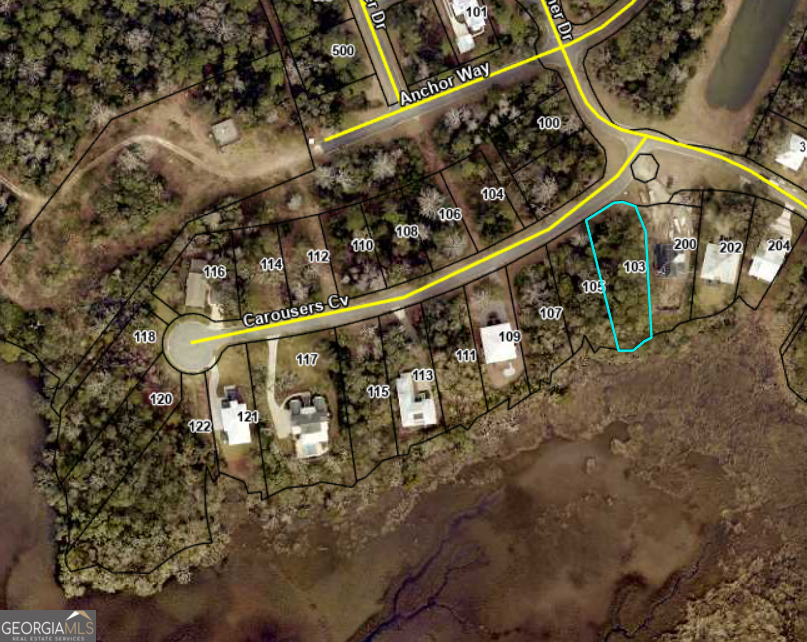 103 Carousers Cove Property Photo 5