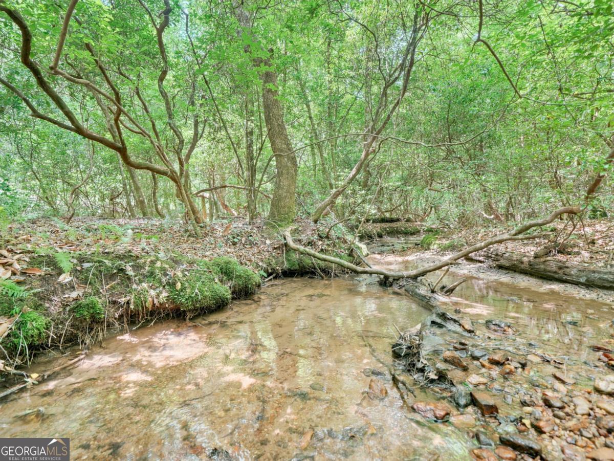 167 Mangums Trail Property Photo 49