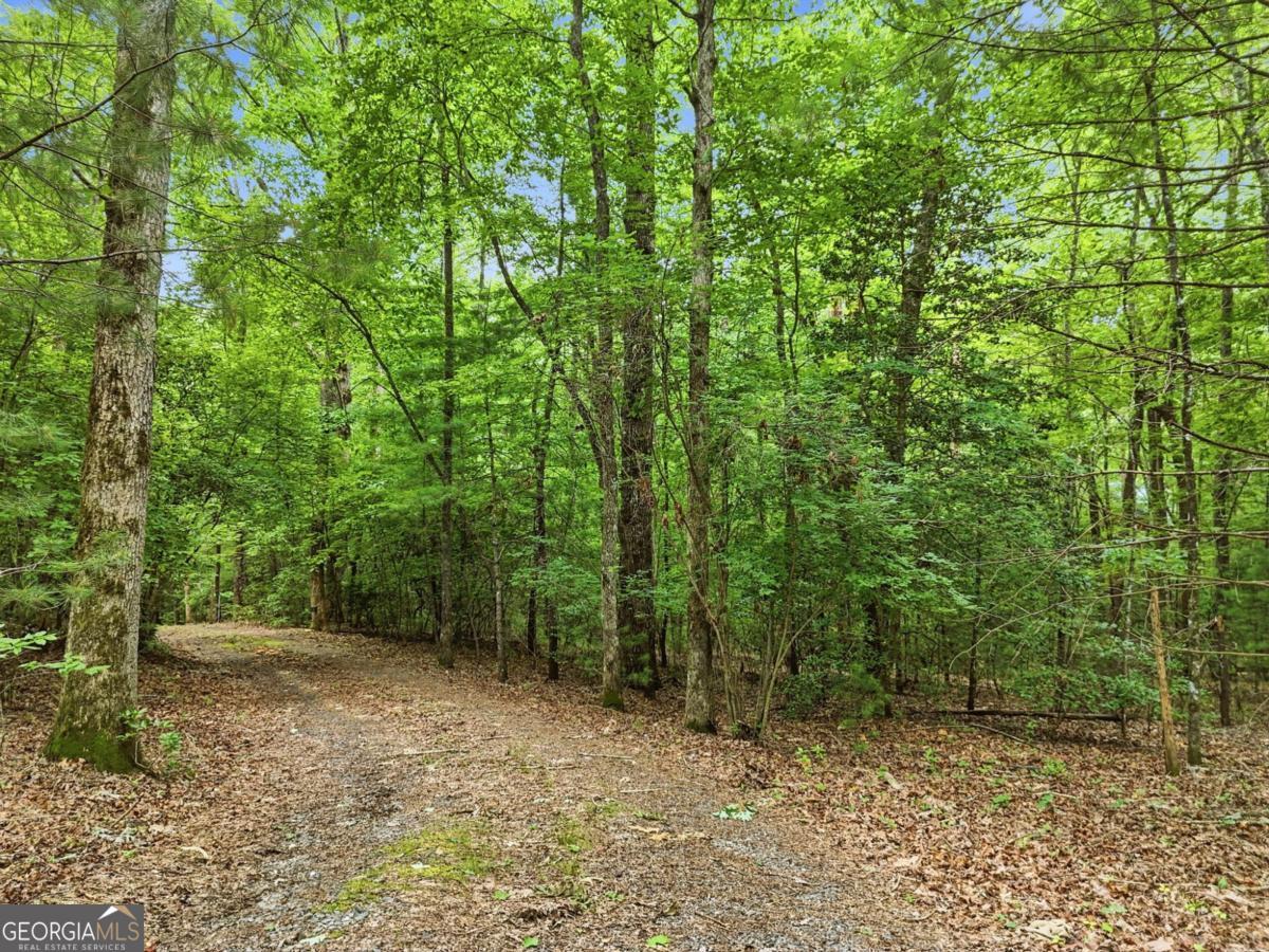 167 Mangums Trail Property Photo 53