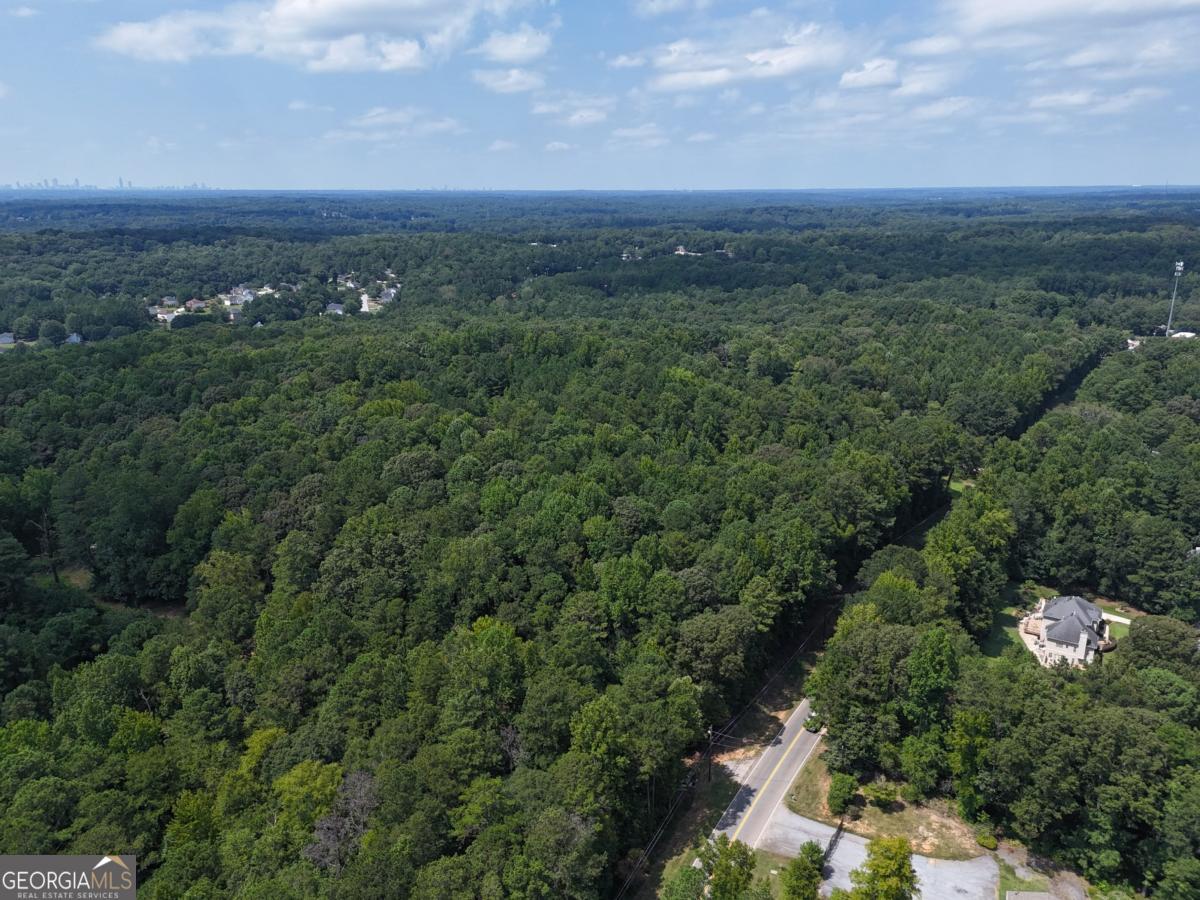 3961 Panola Road Property Photo 4