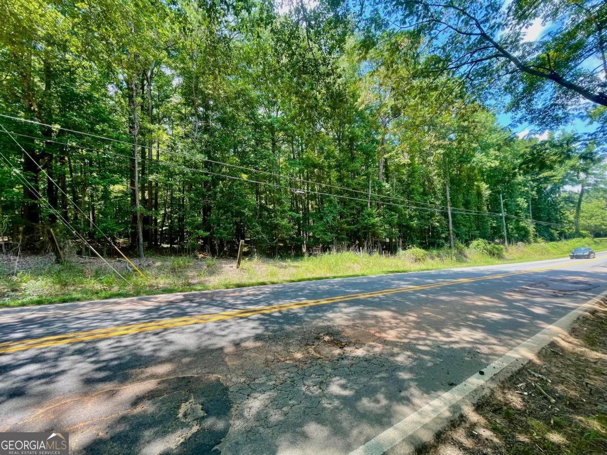 3961 Panola Road Property Photo 13