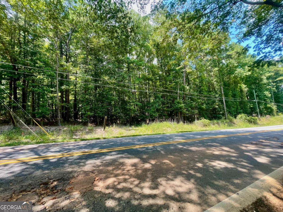 3961 Panola Road Property Photo 14