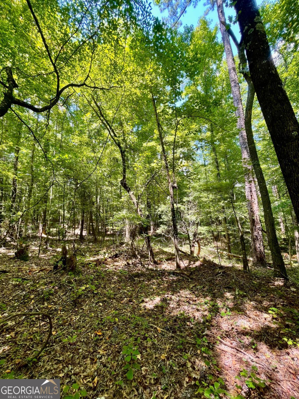 3961 Panola Road Property Photo 16