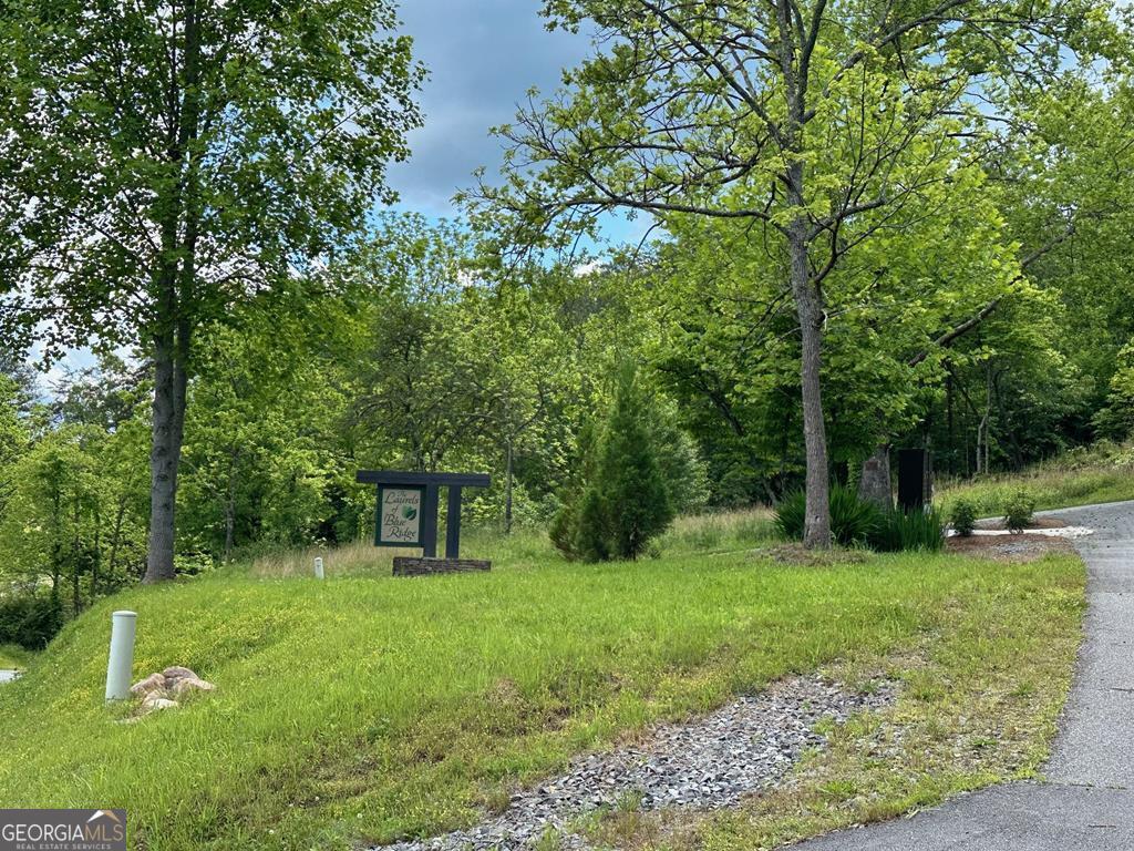 Lt 12 Mountain Laurel Ridge Property Photo 3