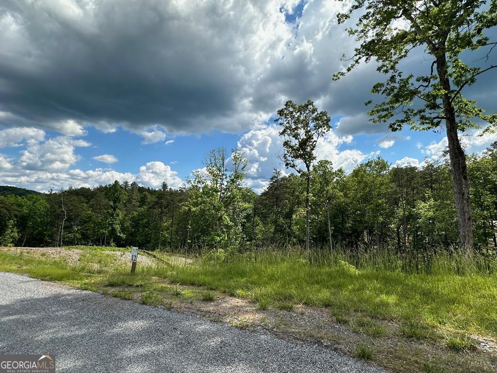 Lt 12 Mountain Laurel Ridge Property Photo 4
