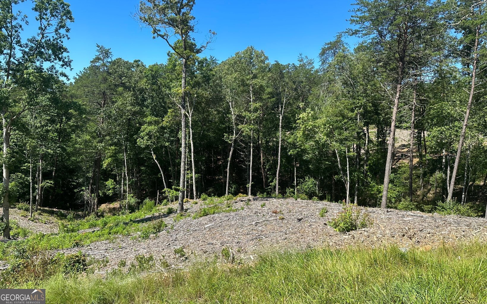 Lt 12 Mountain Laurel Ridge Property Photo 5