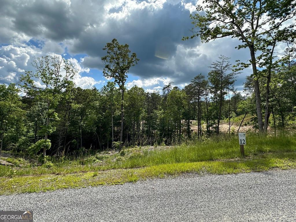 Lt 12 Mountain Laurel Ridge Property Photo 6