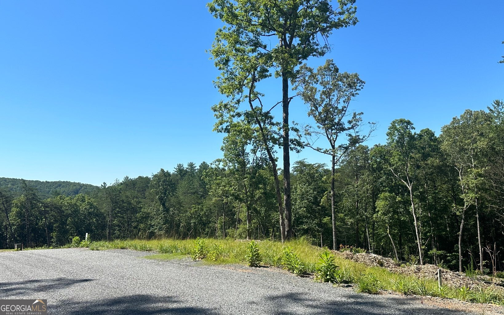 Lt 12 Mountain Laurel Ridge Property Photo 8