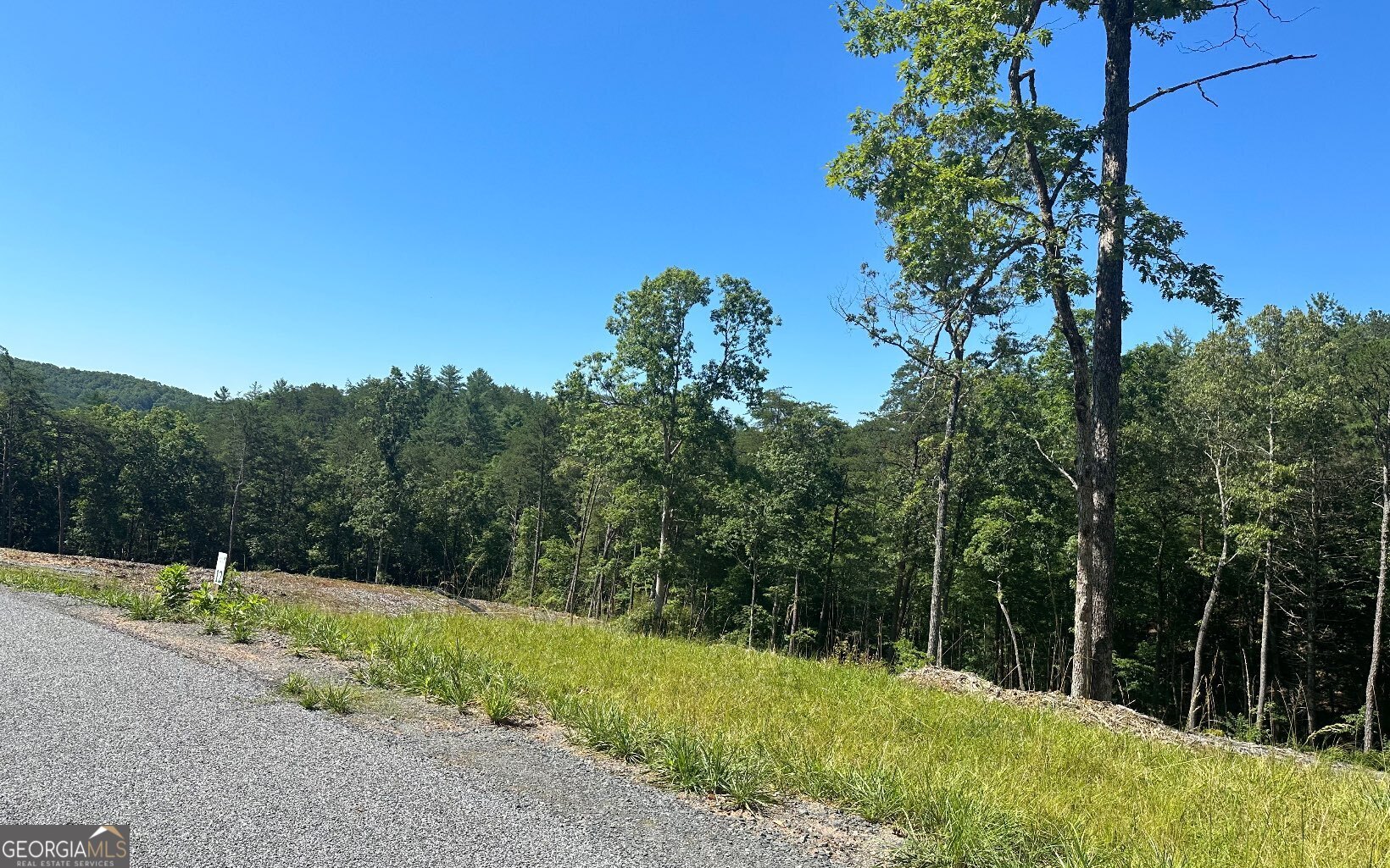 Lt 12 Mountain Laurel Ridge Property Photo 11