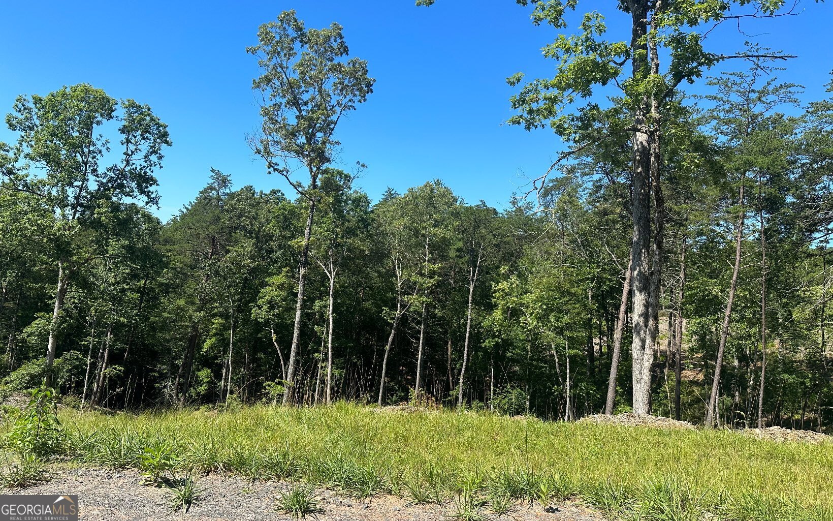 Lt 12 Mountain Laurel Ridge Property Photo 12