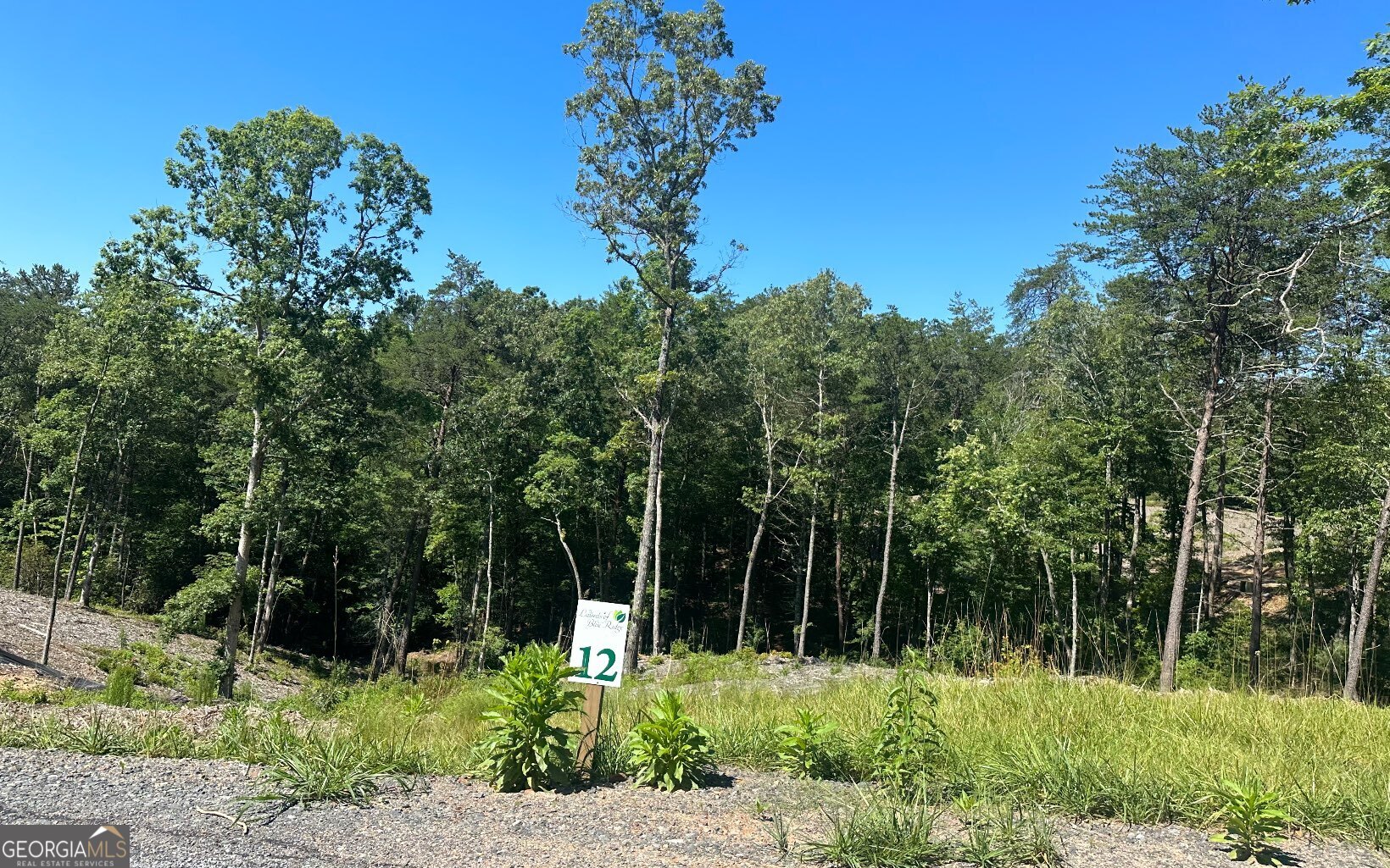 Lt 12 Mountain Laurel Ridge Property Photo 13