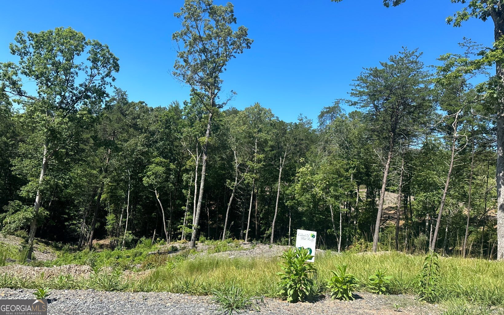 Lt 12 Mountain Laurel Ridge Property Photo 14