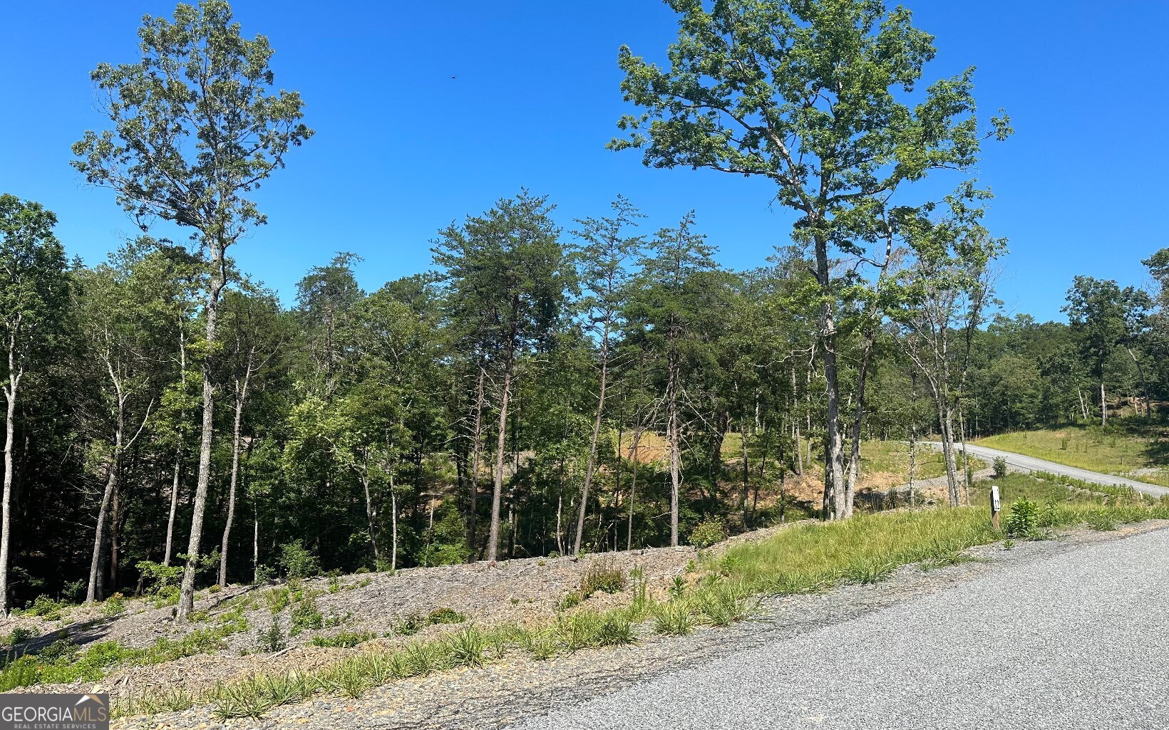 Lt 12 Mountain Laurel Ridge Property Photo 15