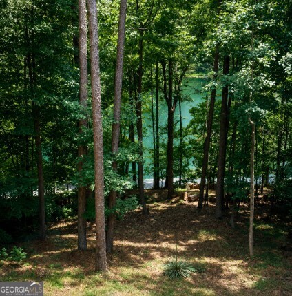 6011 Lost Maple Lane Property Photo 38