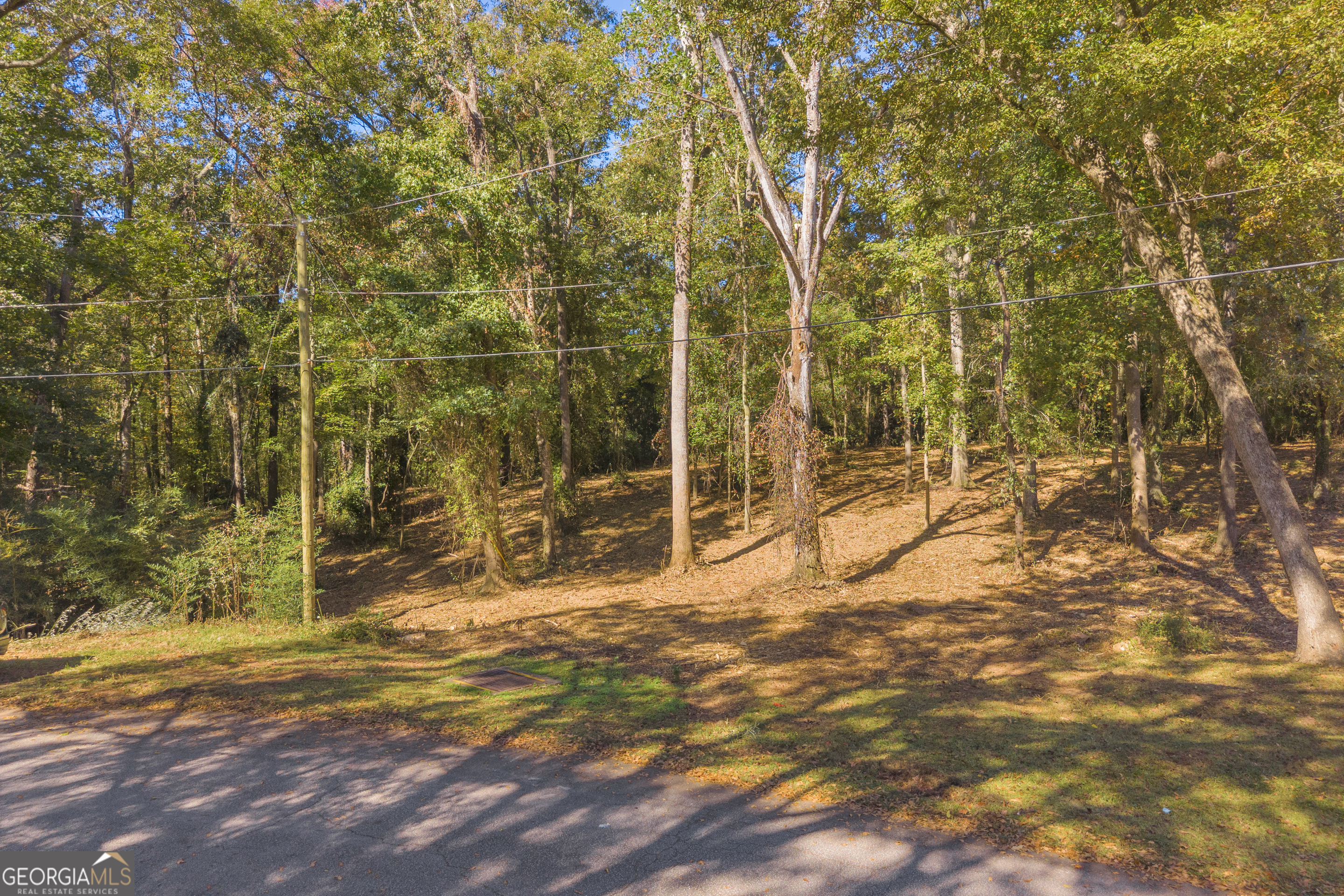 0 Locust Street Lot 8 Property Photo 6