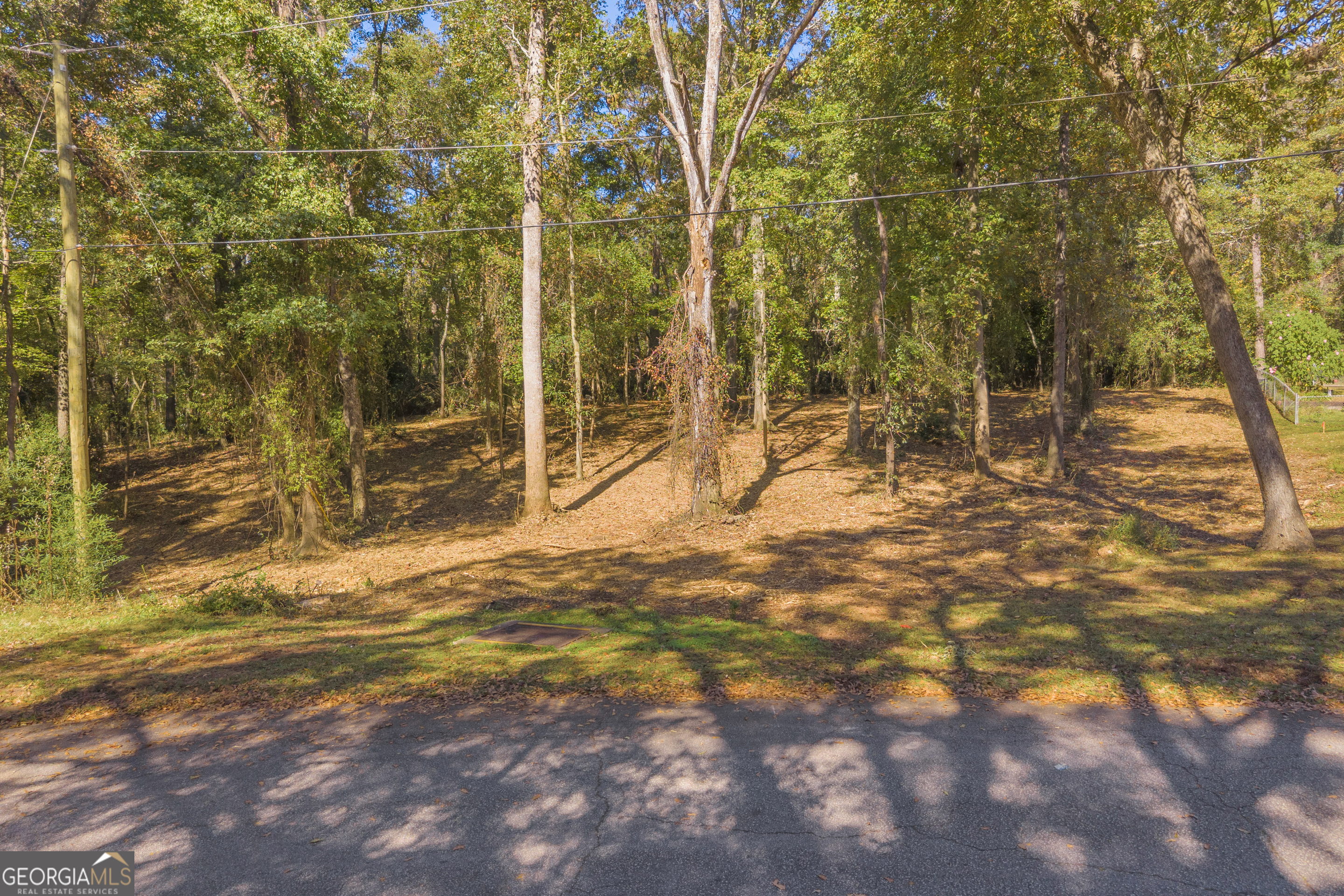0 Locust Street Lot 8 Property Photo 8