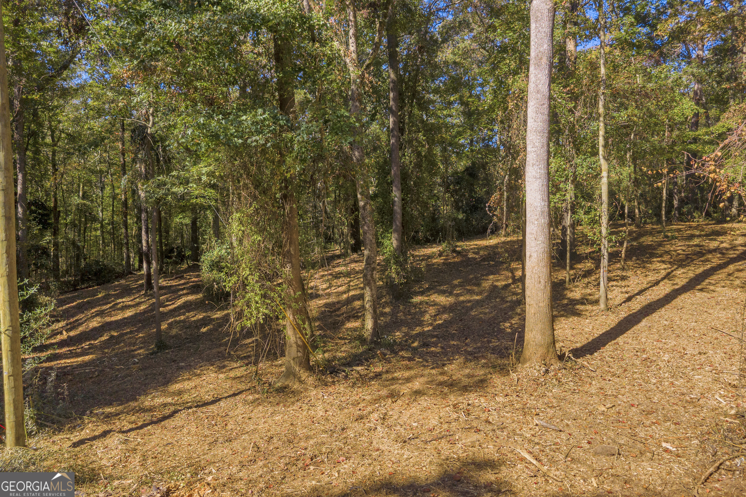 0 Locust Street Lot 8 Property Photo 9