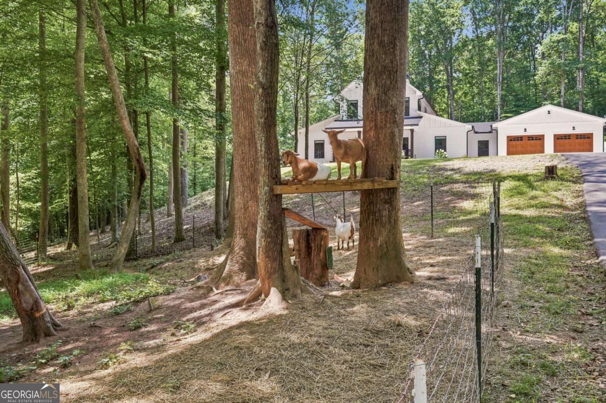 1684 Fairview Road Property Photo 48