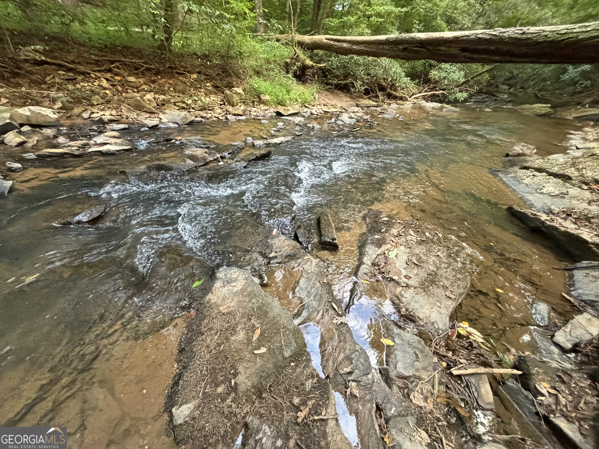396 Mt Springer Road Property Photo 1