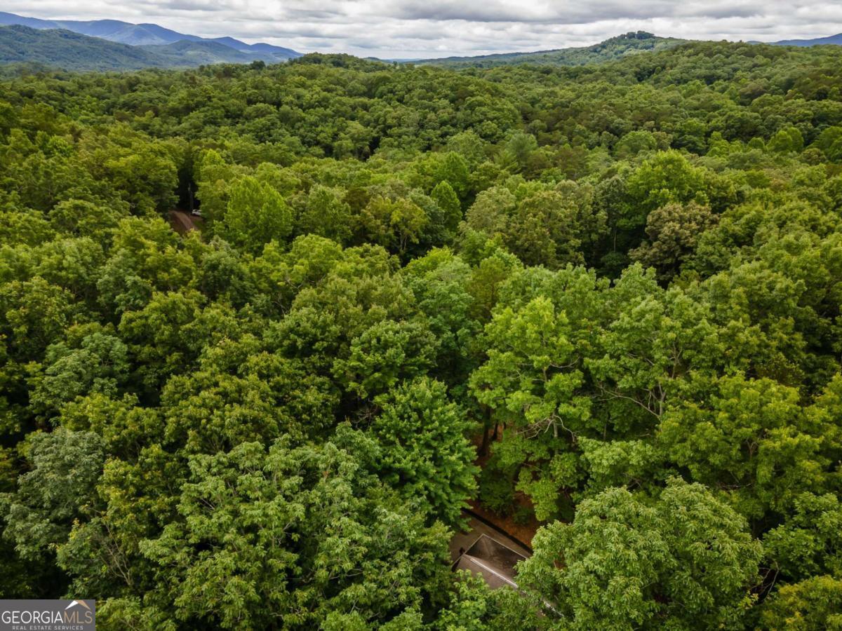 398 Mountain Tops Circle Property Photo 47