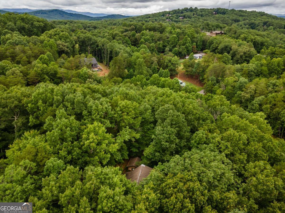 398 Mountain Tops Circle Property Photo 48