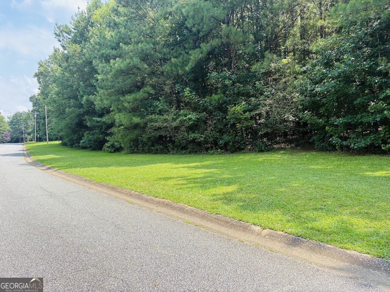 0 Mapledale Trail Property Photo 1
