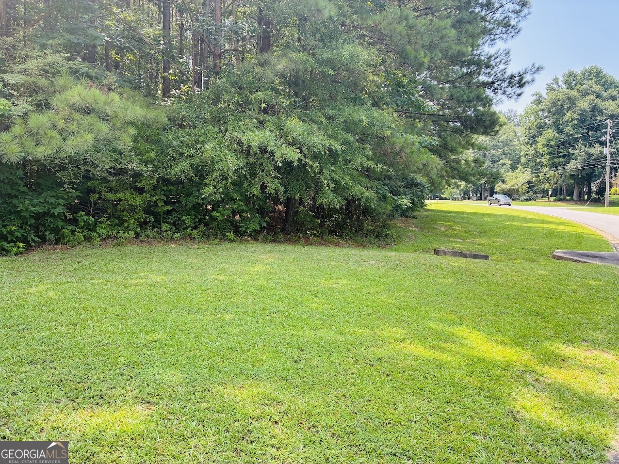 0 Mapledale Trail Property Photo 2