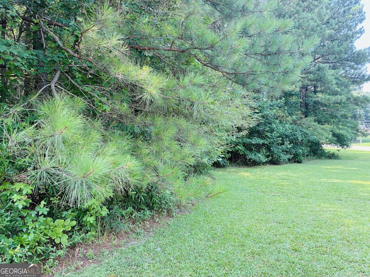 0 Mapledale Trail Property Photo 3