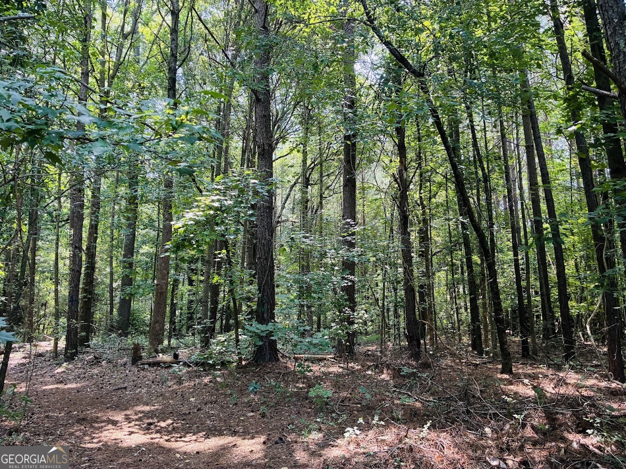 0 Mapledale Trail Property Photo 4