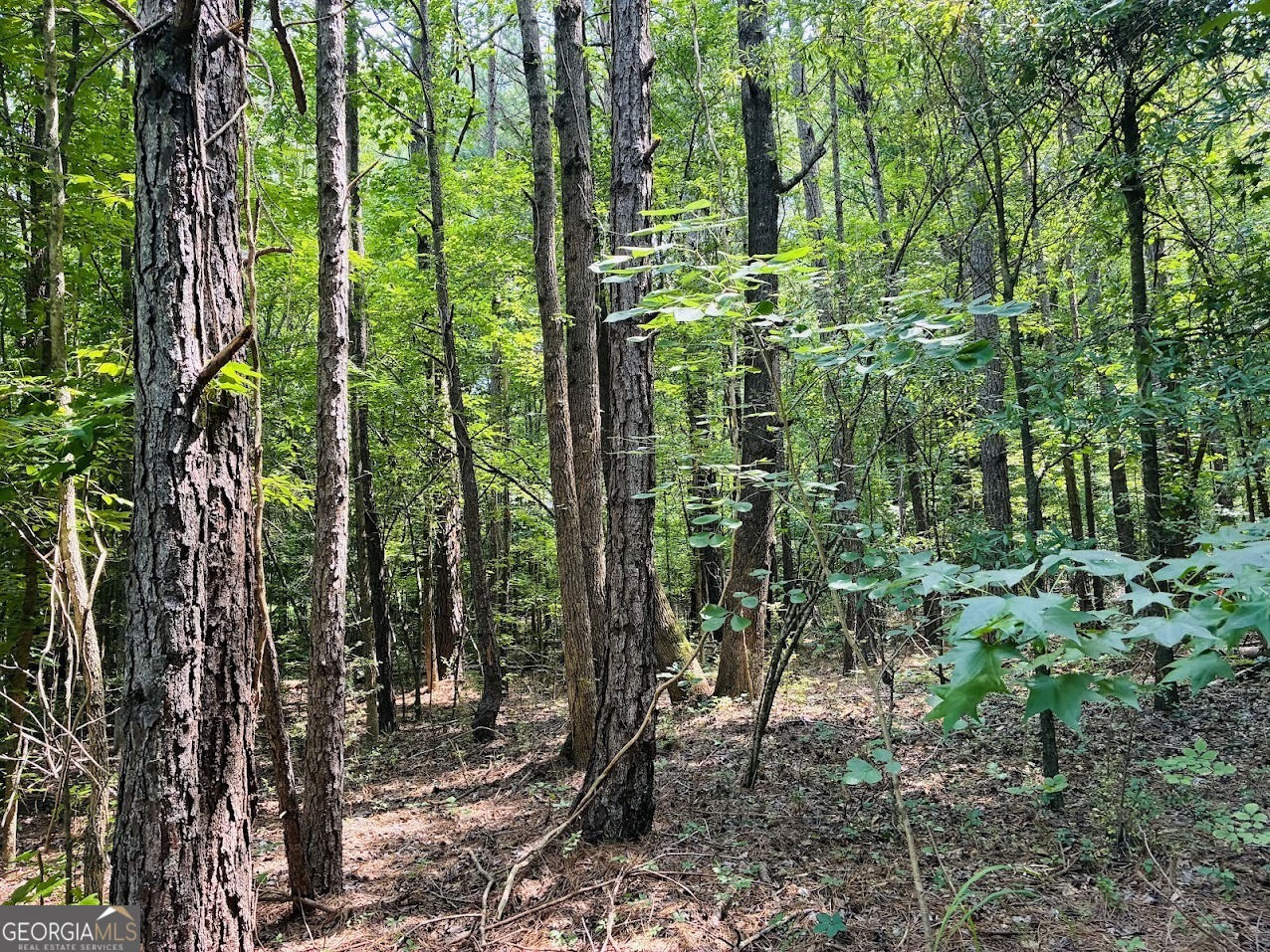 0 Mapledale Trail Property Photo 5