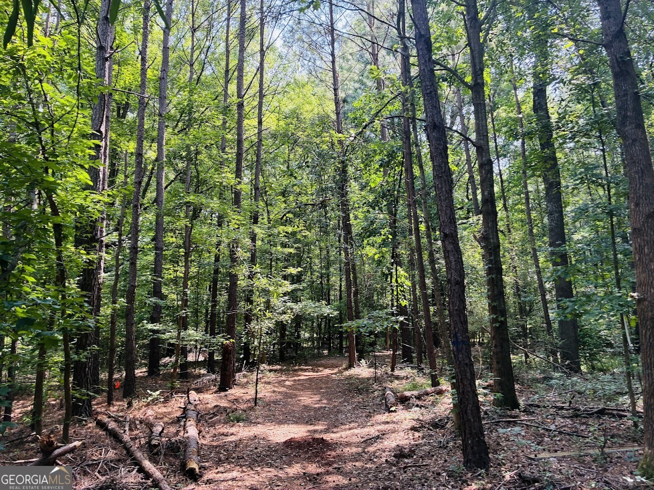0 Mapledale Trail Property Photo 6